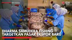 Dharma Samudera Fishing Targetkan Pasar Ekspor Baru,(Sumber: IDX CHANNEL)