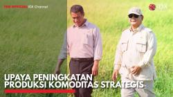 Upaya Peningkatan Produksi Komoditas Strategis. (Sumber : IDX Channel)