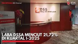 Laba DSSA Menciut 21,72% di Kuartal I-2025. (Sumber : IDX Channel)