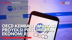 OECD Kembali Pangkas Proyeksi Pertumbuhan Ekonomi RI,(Sumber: IDX CHANNEL)