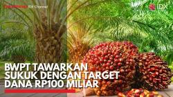 BWPT Tawarkan Sukuk dengan Target Dana Rp100 Miliar. (Sumber : IDX Channel)