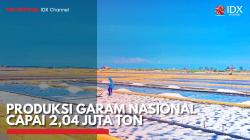 Produksi Garam Nasional Capai 2,04 Juta Ton. (Sumber : IDX Channel)