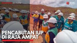 Pencabutan IUP di Raja Ampat. (Sumber : IDX Channel)