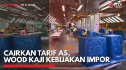 Cairkan Tarif AS, WOOD Kaji Kebijakan Impor,(Sumber: IDX CHANNEL)