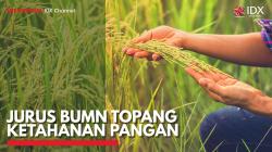 Jurus BUMN Topang Ketahanan Pangan. (Sumber : IDX Channel)