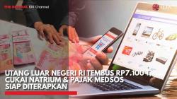 Utang Luar Negeri RI Tembus Rp7.100 T, Cukai Natrium & Pajak Medsos Siap Diterapkan