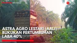 Astra Agro Lestari (AALI) Bukukan Pertumbuhan Laba 40%. (Sumber: IDX Channel)