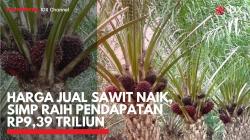 Harga Jual Sawit Naik, SIMP Raih Pendapatan Rp9,39 Triliun. (foto: IDXChannel)