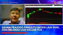 Saham Prajogo Pangestu Batasi Laju IHSG, CDIA Melemah Usai Keluar FCA,(Sumber: IDX CHANNEL)