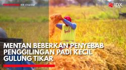Mentan Beberkan Penyebab Penggilingan Padi Kecil Gulung Tikar. (Sumber: IDX Channel)
