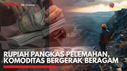 Rupiah Pangkas Pelemahan, Komoditas Bergerak Beragam,(Sumber: IDX CHANNEL)