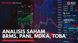 Analisis Saham BRMS, PANI, MDKA, TOBA,(Sumber: IDX CHANNEL)