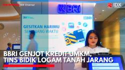 BBRI Genjot Kredit UMKM, TINS Bidik Logam Tanah Jarang,(Sumber: IDX CHANNEL)
