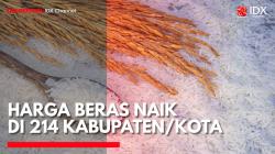 Harga Beras Naik di 214 Kabupaten/Kota. (Sumber: IDX Channel)