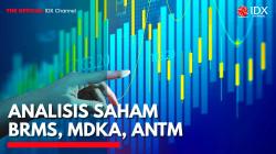 Analisis Saham BRMS, MDKA, ANTM,(Sumber: IDX CHANNEL)
