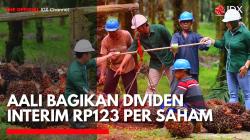Astra Agro Lestari (AALI) Bagikan Dividen Interim. (Sumber: IDX Channel)