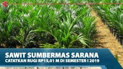 Sawit Sumbermas Sarana Catatkan Rugi Rp15,01 M Di Semester I 2019