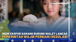 Ingin Ekspor Sarang Burung Walet Lancar, Pemerintah Wajib Perbaiki Regulasi - Market Review Part 5