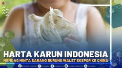 Harta Karun Indonesia, Mendag Minta Sarang Burung Walet Ekspor ke ChinaÂ  - Market Review Part 4