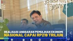 Realisasi Anggaran Pemulihan Ekonomi Nasional Capai Rp219 Triliun