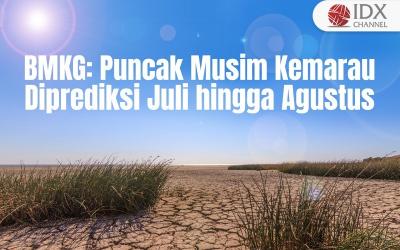 BMKG: Puncak Musim Kemarau Diprediksi Terjadi Juli hingga Agustus 2024 (Foto : Tim Digital Marketing IDX Channel)