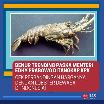 Edhy Prabowo Ditangkap KPK, Cek Jenis dan Harga Lobster di RI. (Foto: Tim Digital Marketing IDX Channel)