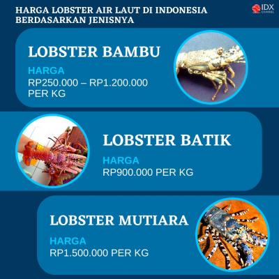 Edhy Prabowo Ditangkap KPK, Cek Jenis dan Harga Lobster di RI. (Foto: Tim Digital Marketing IDX Channel)