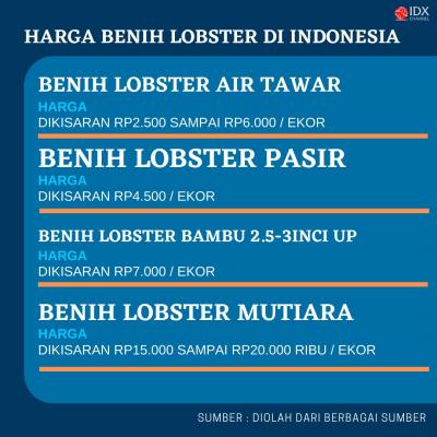 Edhy Prabowo Ditangkap KPK, Cek Jenis dan Harga Lobster di RI. (Foto: Tim Digital Marketing IDX Channel)