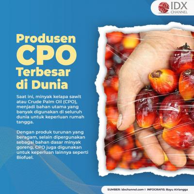 Jadi Bahan Utama Rumah Tangga, Intip 5 Negara Produsen CPO Terbesar di Dunia. (Foto: Tim Digital Marketing IDX Channel)