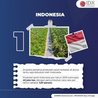 Jadi Bahan Utama Rumah Tangga, Intip 5 Negara Produsen CPO Terbesar di Dunia. (Foto: Tim Digital Marketing IDX Channel)