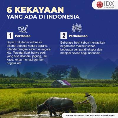 6 Kekayaan yang Ada di Indonesia dan Bikin Negara Lain Ngiri. (Foto : Tim Digital Marketing IDX Channel)