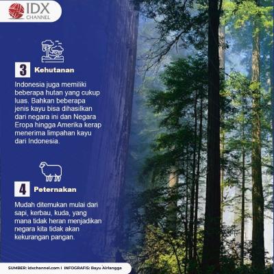 6 Kekayaan yang Ada di Indonesia dan Bikin Negara Lain Ngiri. (Foto : Tim Digital Marketing IDX Channel)