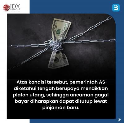 AS Berpotensi Gagal Bayar Utang, Bagaimana Dampaknya Ke Indonesia?