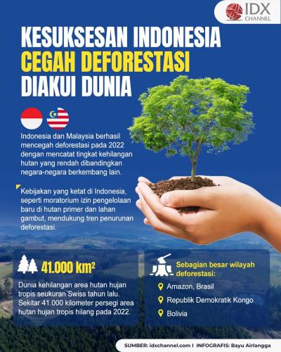 Kesuksesan Indonesia Cegah Deforestasi Diakui Peneliti Dunia (Foto : Tim Digital Marketing IDX Channel)