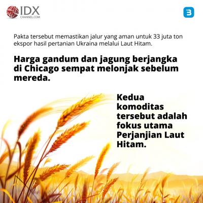 Perjanjian Laut Hitam Berakhir, Ini Dampaknya Bagi Dunia (Foto : Tim Digital Marketing IDX Channel)