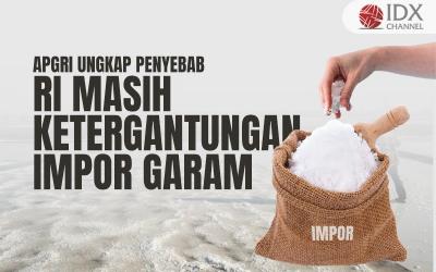 APGRI Ungkap Penyebab RI Masih Ketergantungan Impor Garam (Foto : Tim Digital Marketing IDX Channel)