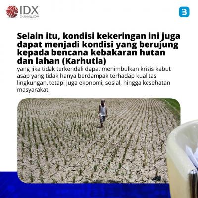 Imbas El Nino, BMKG Ingatkan Ancaman Gagal Panen (Foto : Tim Digital Marketing IDX Channel)
