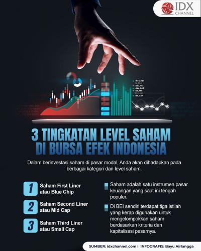 3 Tingkatan Level Saham di Bursa Efek Indonesia, Investor Wajib Tahu (Foto : Tim Digital Marketing IDX Channel)