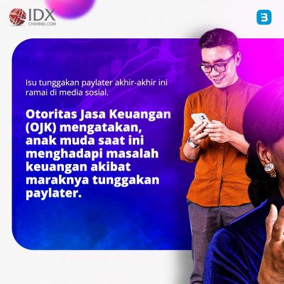Kartu Kredit vs Paylater:Ini Kelebihan dan Kekurangannya bagi Debitur