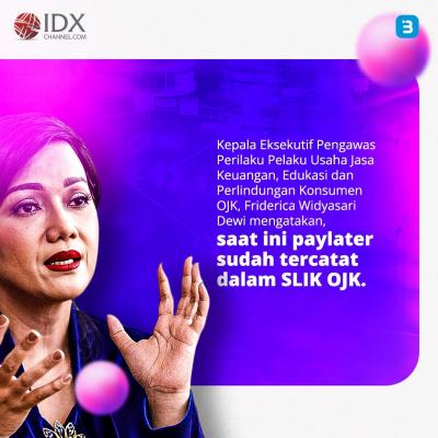 Kartu Kredit vs Paylater:Ini Kelebihan dan Kekurangannya bagi Debitur
