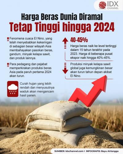 Harga Beras Dunia Diramal Tetap Tinggi hingga 2024 (Foto : Tim Digital Marketing IDX Channel)