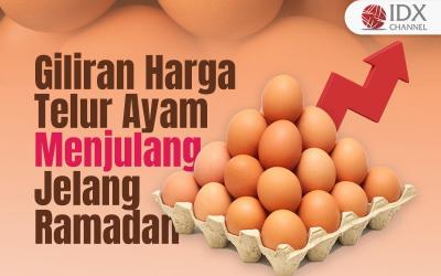 Kini Giliran Harga Telur Ayam Menjulang Jelang Ramadan (Foto : Tim Digital Marketing IDX Channel)
