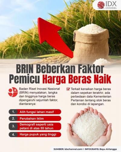 BRIN Beberkan Faktor Pemicu Harga Beras Naik di Pasaran (Foto : Tim Digital Marketing IDX Channel)