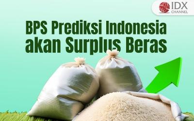BPS Prediksi Indonesia akan Surplus Beras, Ini Tanggapan Pengamat (Foto : Tim Digital Marketing IDX Channel)