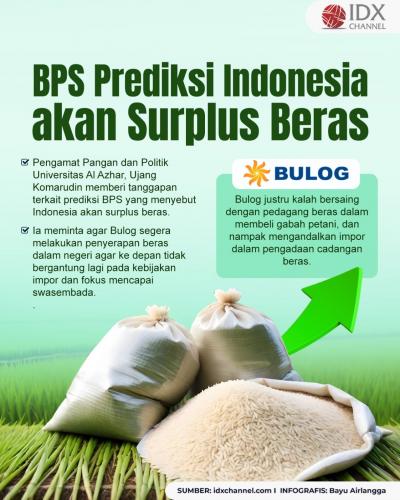 BPS Prediksi Indonesia akan Surplus Beras, Ini Tanggapan Pengamat (Foto : Tim Digital Marketing IDX Channel)