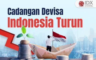 Cadangan Devisa RI Turun ke USD136,2 Miliar per April 2024 (Foto : Tim Digital Marketing IDX Channel)