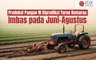 Produksi Pangan RI Diprediksi Turun Imbas Kemarau pada Juni-Agustus (Foto : Tim Digital Marketing IDX Channel)