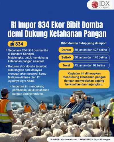 (Grafis: Bayu Airlangga)
