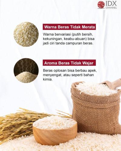 (Grafis: Bayu Airlangga)