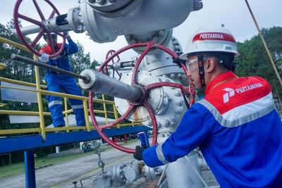 Lapangan panas bumi berkapasitas terpasang 235 megawatt (MW) berperan memasok listrik ke sistem Jawa-Madura-Bali (Jamali)